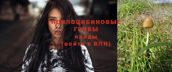 МДПВ Арсеньев