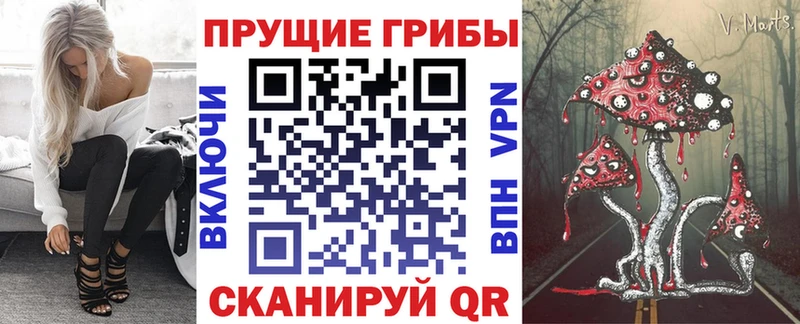 Купить закладки  Нурлат  Галлюциногенные грибы ЛСД 
